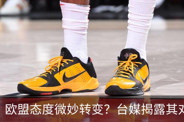 欧盟态度微妙转变？台媒揭露其对台国际参与的支持