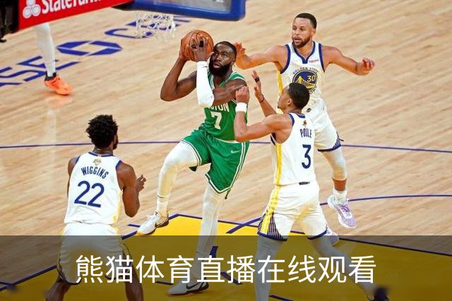 熊猫体育直播在线观看公司简介图片